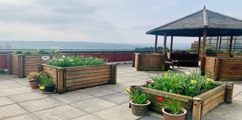 Monica Wills House rooftop garden