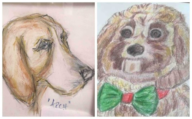 2 Dogs