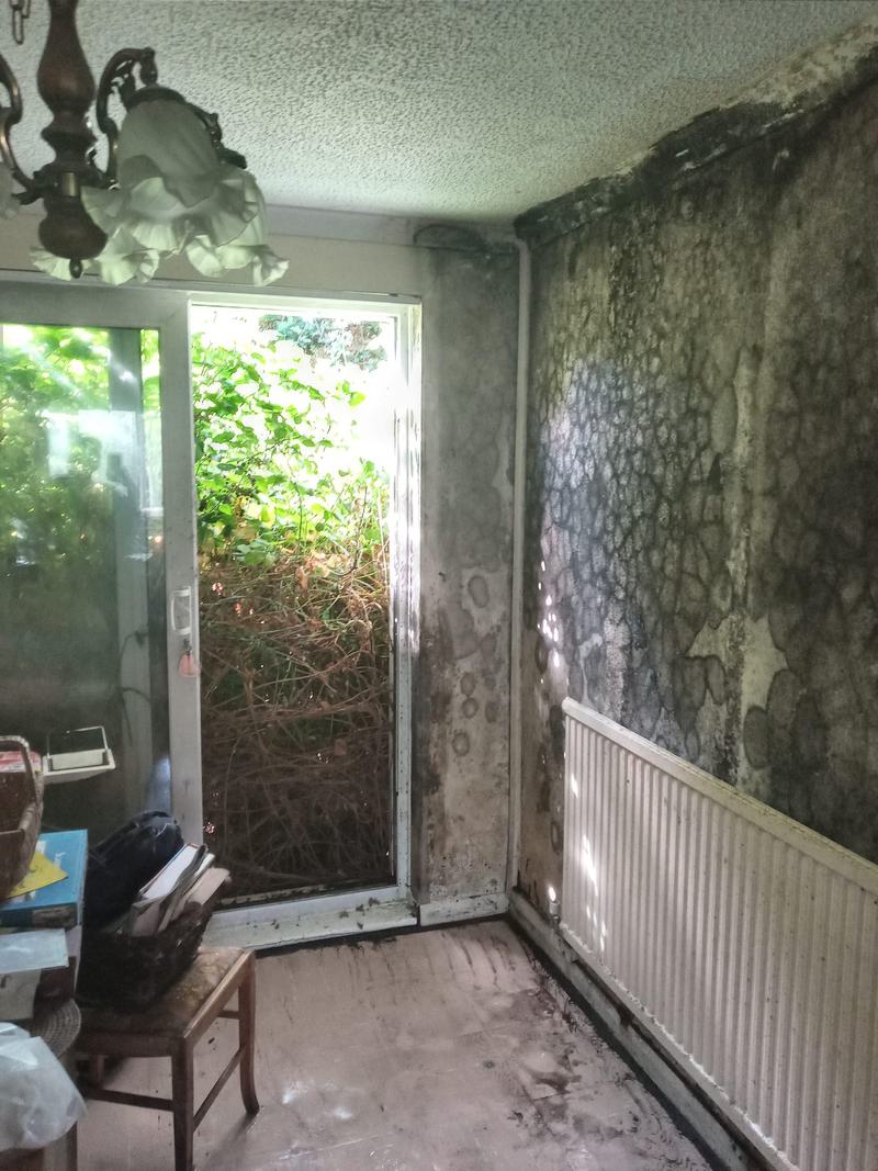 20230809 102342 mfnr