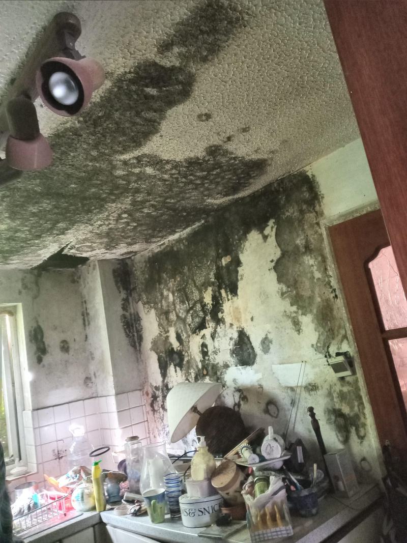 20230809 102353 mfnr