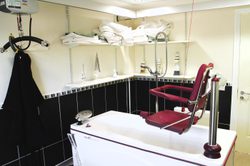 Assisted bathroom