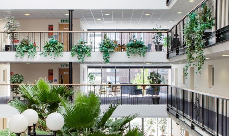 Monica Wills House retirement village jpg