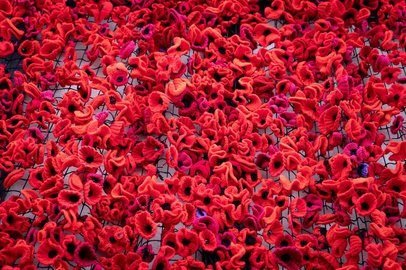 RS20241106 SMT Poppy Cascade 43