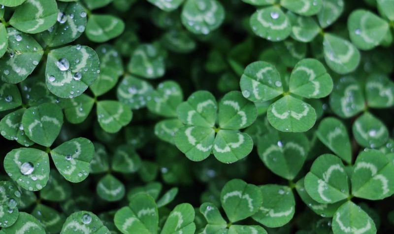 St Patricks Day