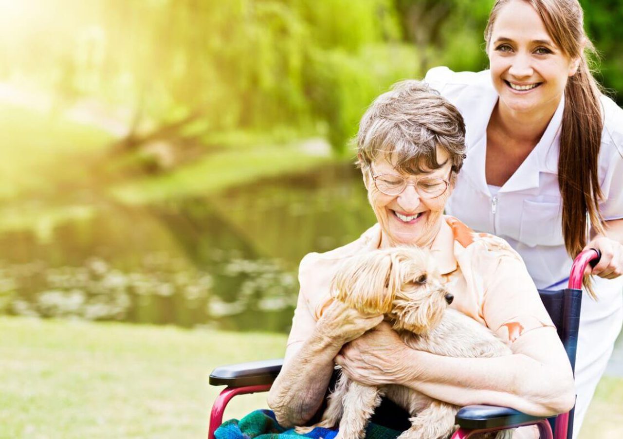 The Willows care home 24 hour nursing care