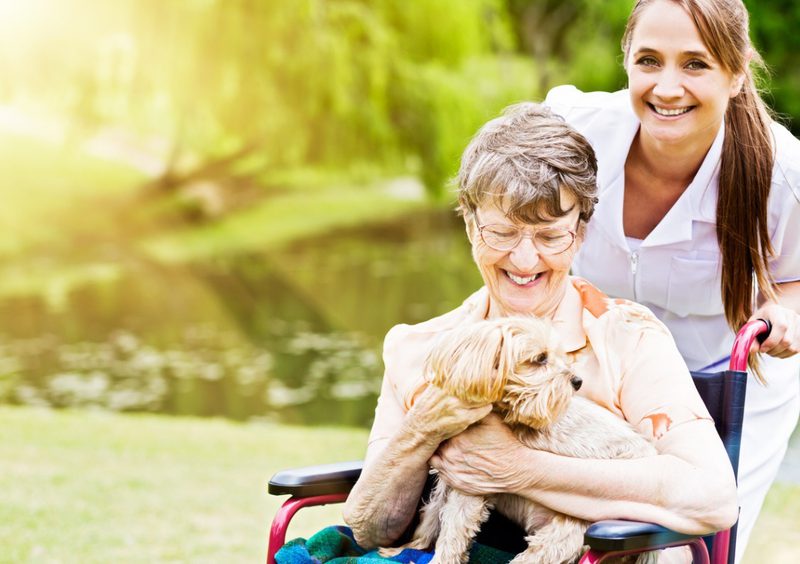 The Willows care home 24 hour nursing care jpg