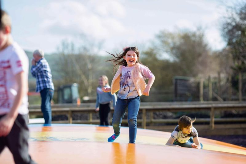 Things To Do In Keynsham Avon Valley Wildlife And Adventure