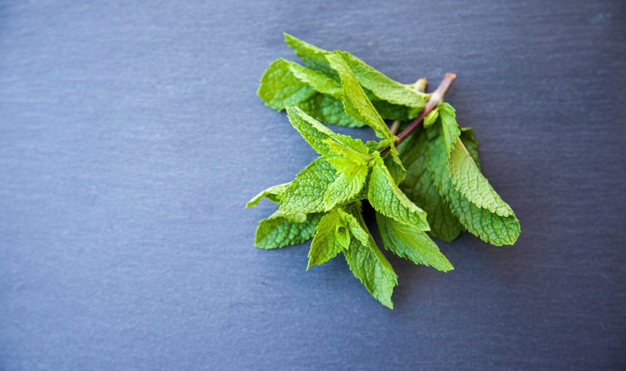 Herbs