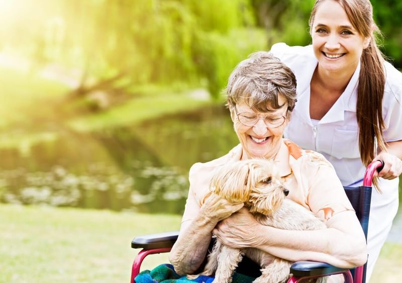 st monica trust respite care especial offer