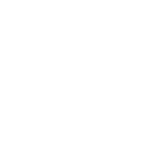 Icon discounts
