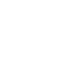 Icon employees