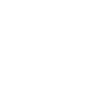 Icon eye test