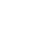 Icon eye test