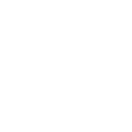 Icon gym