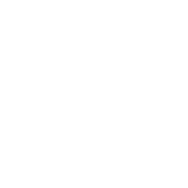 Icon health