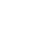 Icon long service