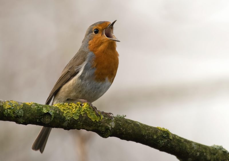Jan Meeus 7 Lsu Yqkv Ium Unsplash