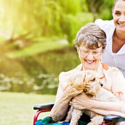 The Willows care home 24 hour nursing care jpg
